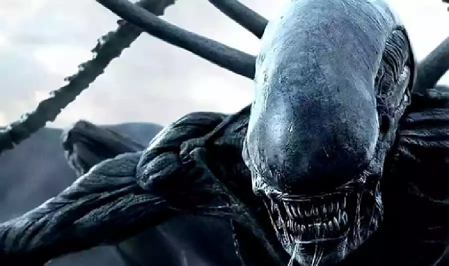 La saga Alien regresará una vez más a los cines 39 La saga Alien regresará una vez