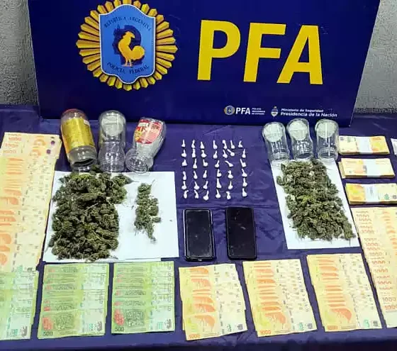 Incautan marihuana en un campo con permiso del REPROCANN 32 Policía incauta marihuana