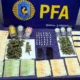 Policía incauta marihuana
