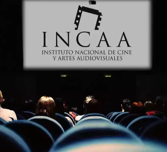 El INCAA subsidió películas por $11.330 millones 36 El INCAA subsidió películas