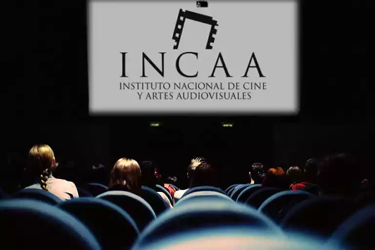 El INCAA subsidió películas por $11.330 millones 35 El INCAA subsidió películas