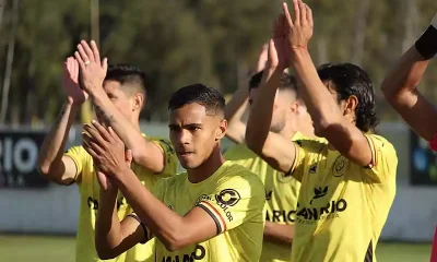 flandria-arg-merlo