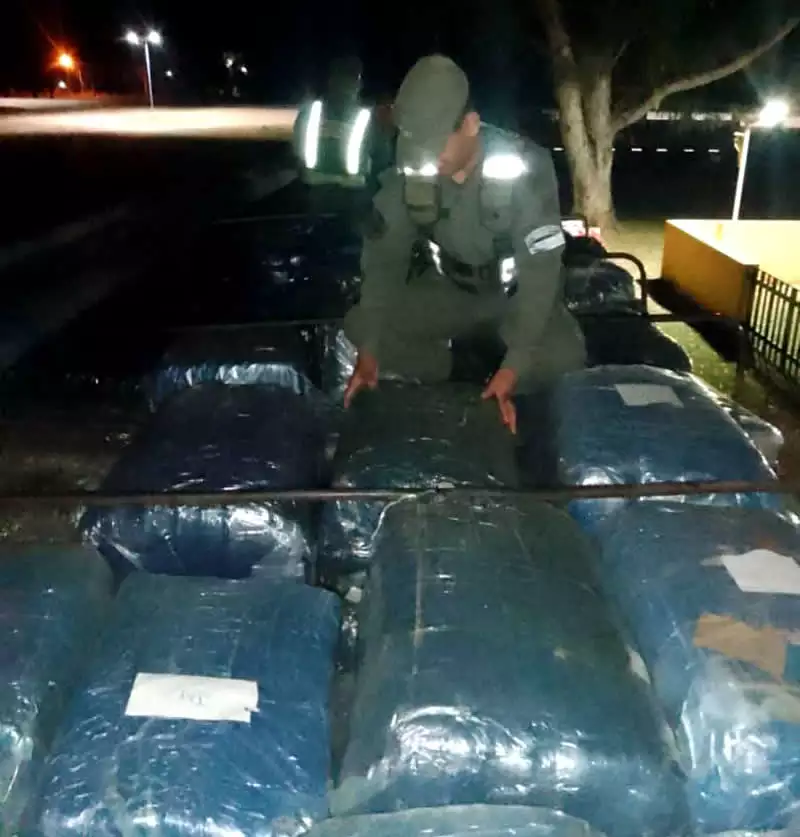 Gendarmería incautó coca en hoja