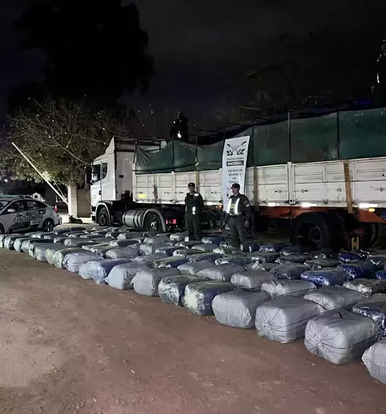 Gendarmería incautó coca en hoja por mas de 2 toneladas 36 Gendarmería incautó coca en hoja