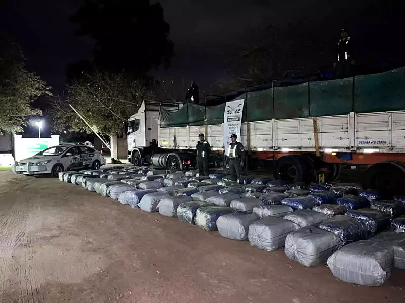 Gendarmería incautó coca en hoja por mas de 2 toneladas 35 Gendarmería incautó coca en hoja