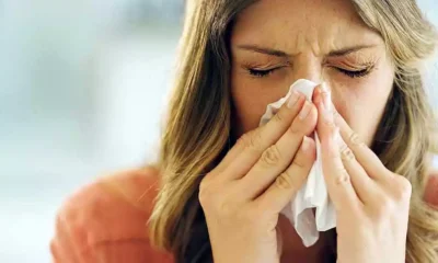 Gripe en adultos