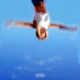 Lucila Ruiu presenta “Verano", su primer álbum