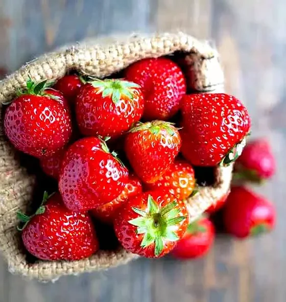 General Rodríguez: Se viene la 4º Fiesta de la Frutilla 36 4º Fiesta de la Frutilla
