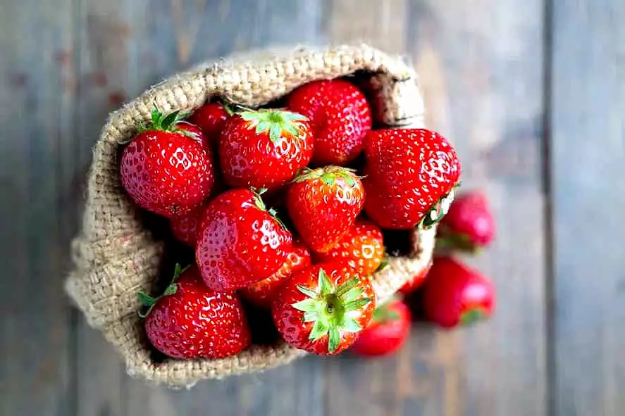 General Rodríguez: Se viene la 4º Fiesta de la Frutilla 35 4º Fiesta de la Frutilla