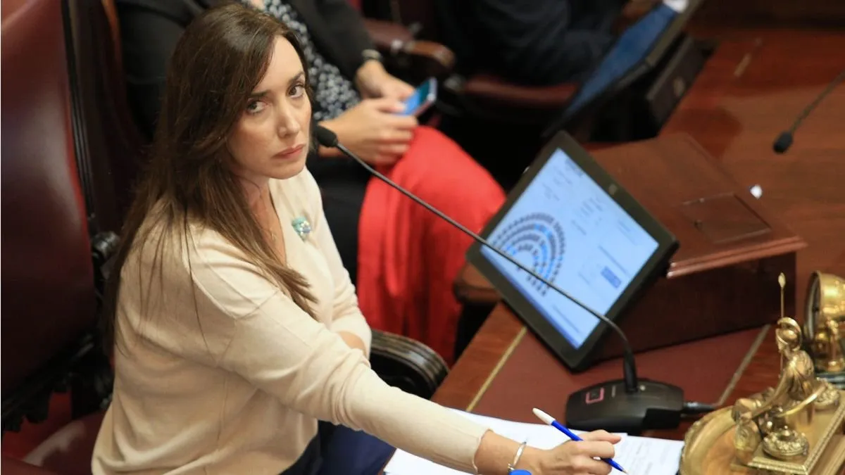 villarruel-senado-dnu