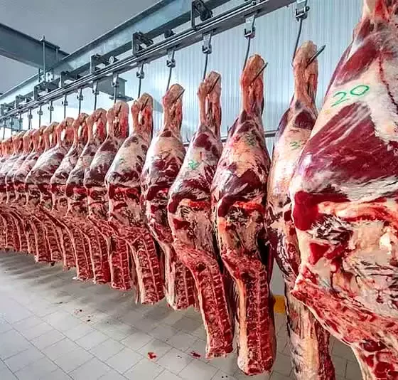 Consumo de carne