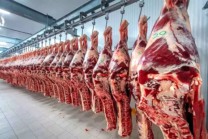 Consumo de carne