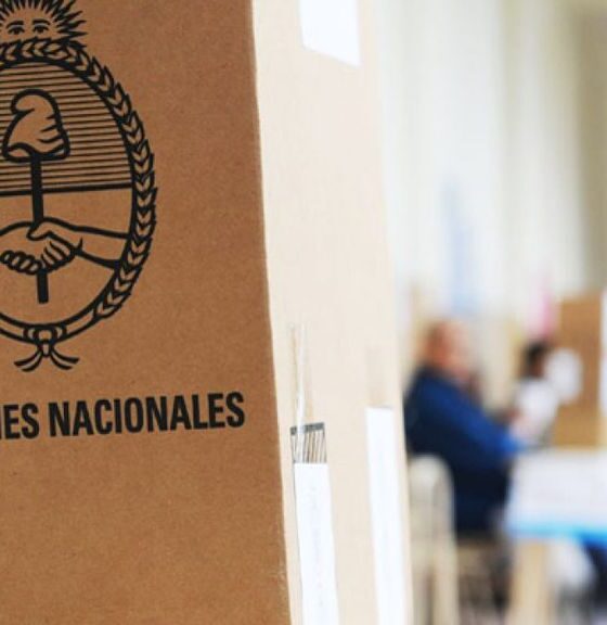 Cronograma elecciones 2025 elige
