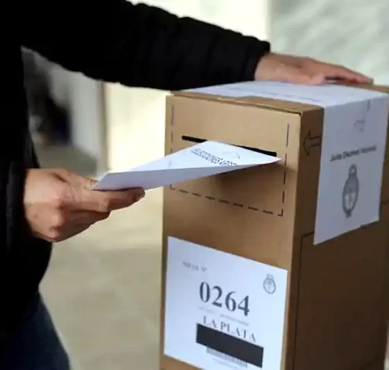 Cronograma de las elecciones 2025