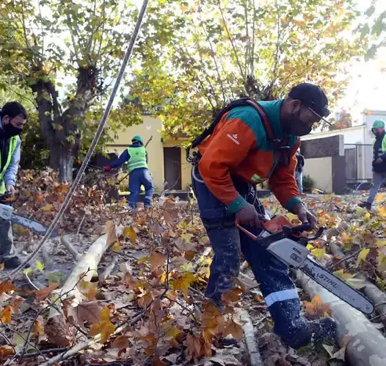 El municipio inició la campaña de poda en localidades 32 Campaña de poda