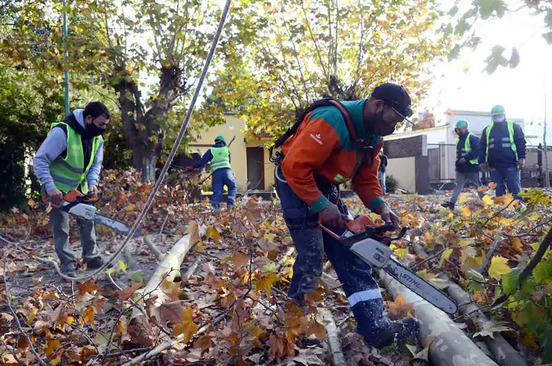 El municipio inició la campaña de poda en localidades 31 Campaña de poda