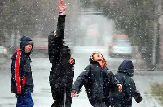 Ola de frio polar