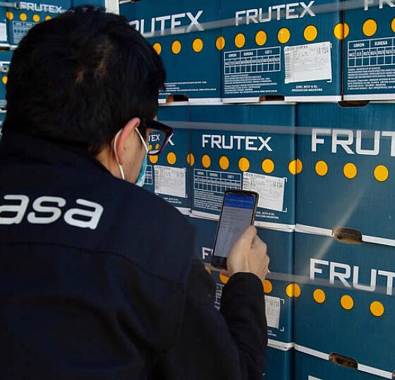 Argentina comienza a usar certificación fitosanitaria electrónica 32 certificación fitosanitaria electrónica