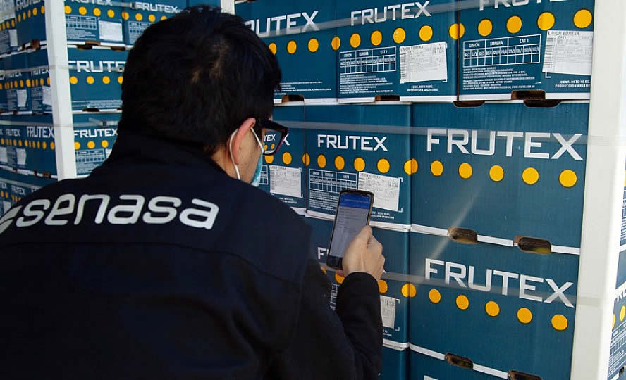 Argentina comienza a usar certificación fitosanitaria electrónica 31 certificación fitosanitaria electrónica