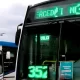el transporte que conecta Mercedes, Suipacha, Chivilcoy y Alberti