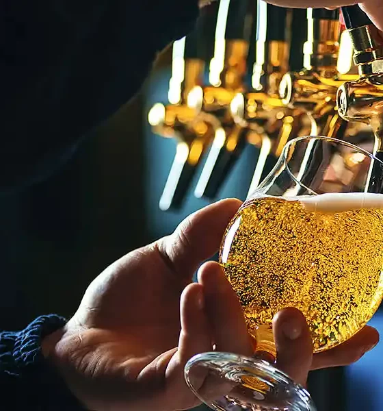 Fiesta de la Cerveza: dos días de música, sabores y cultura en el Parque Ameghino 32 Fiesta de la cerveza