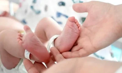 natalidad en Argentina cayó casi a la mitad