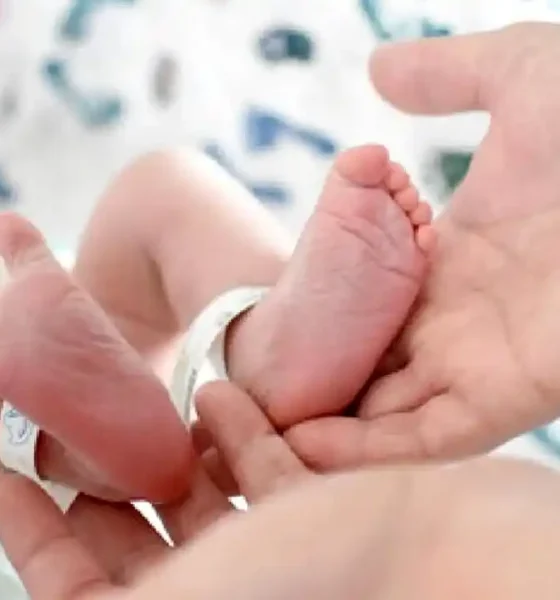 natalidad en Argentina cayó casi a la mitad