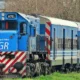 Conectividad y Turismo: El tren especial entre Alejandro Korn y Chascomús vuelve a las vías 37 El tren especial entre Alejandro Korn y Chascomús vuelve