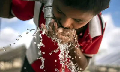 analizar agrotóxicos y arsénico en el agua