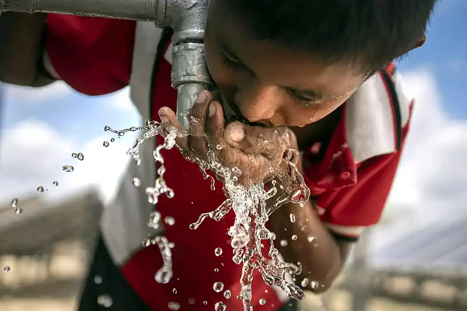 analizar agrotóxicos y arsénico en el agua