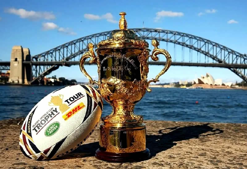Los Pumas ya tienen su hoja de ruta para el Mundial de Rugby 2027 38 Los Pumas Rugby