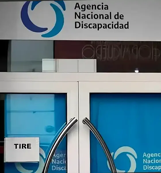 Detectan 178 mil fallecidos con certificados de discapacidad activos 32 Detectan 178 mil fallecidos con certificados de discapacidad activos