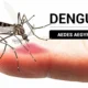 Refuerzan la prevención ante el dengue