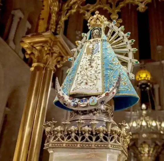 inmaculada concepción de la virgen