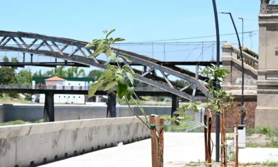 Parquización de Río