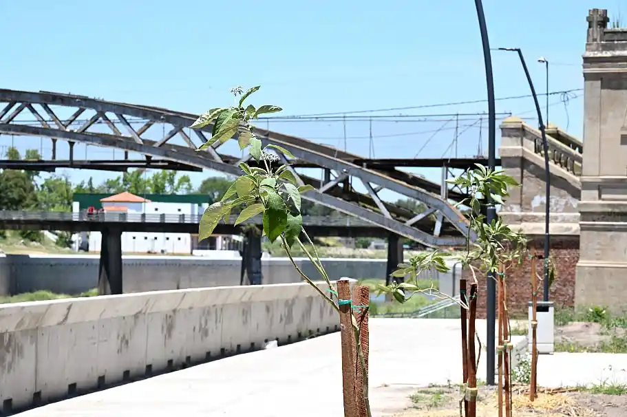 Parquización de Río