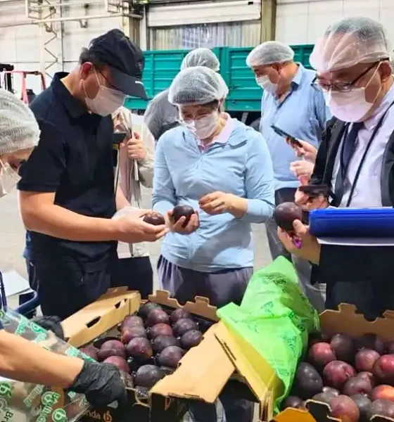 Argentina avanza en la apertura del mercado Chino de frutas 34 Apertura del mercado Chino de frutas