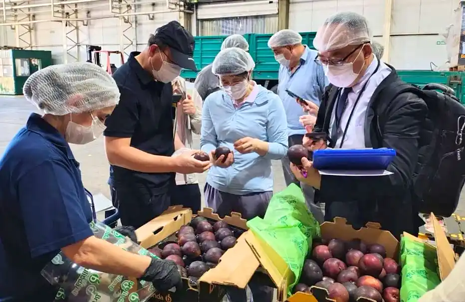 Apertura del mercado Chino de frutas