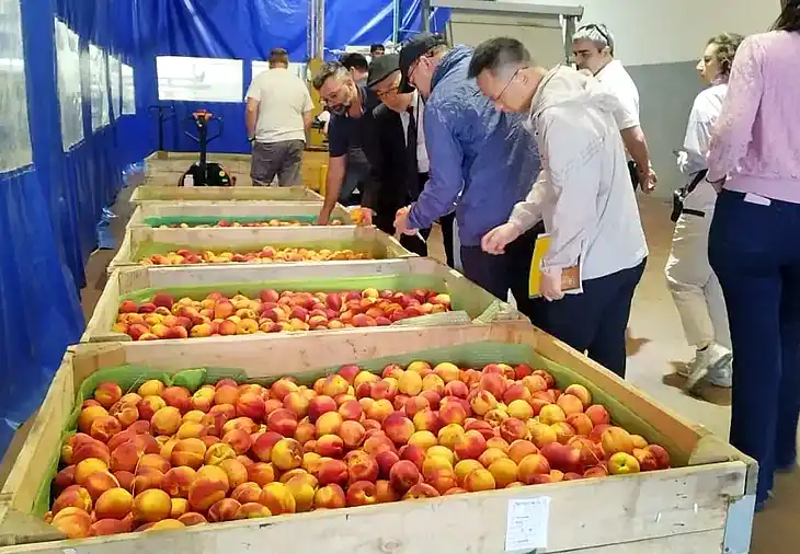 Argentina avanza en la apertura del mercado Chino de frutas 35 apertura del mercado Chino de frutas