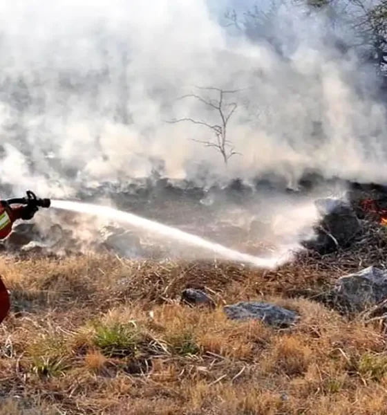 Incendio de pastizales en Ruta 5
