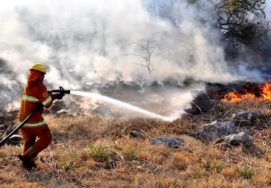 Incendio de pastizales en Ruta 5