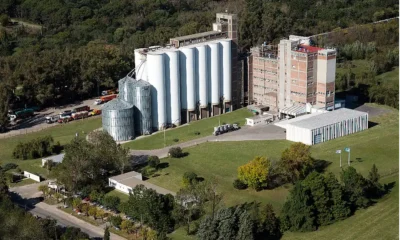 Molino Argentino S.A. y medio ambiente