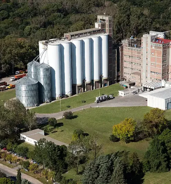 Molino Argentino S.A. y medio ambiente