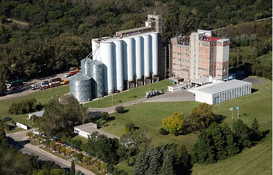 Molino Argentino S.A. y medio ambiente