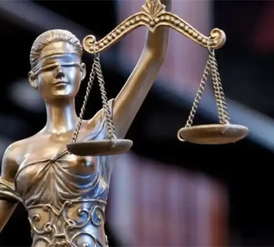 dictamen justicia en tragedia vial