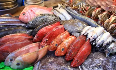 Cómo elegir pescado fresco SENASA