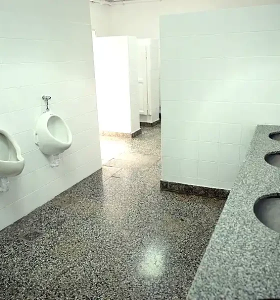 Remodelación en la Escuela Primaria 2