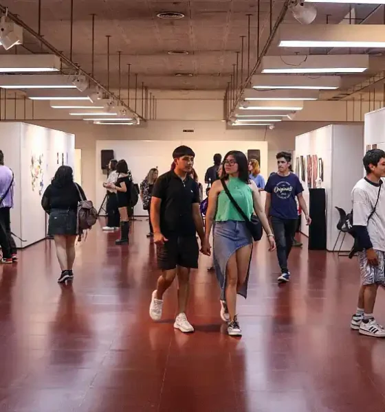 nuevas muestras en el Museo de Bellas Artes