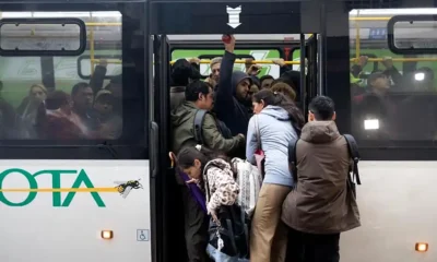 Colectivos del AMBA