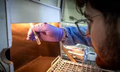 Laboratorios clausurados